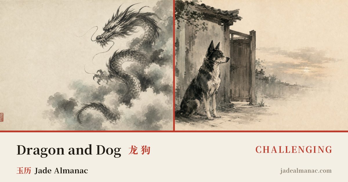 Share card: Dragon and Dog, Challenging in the Chinese zodiac